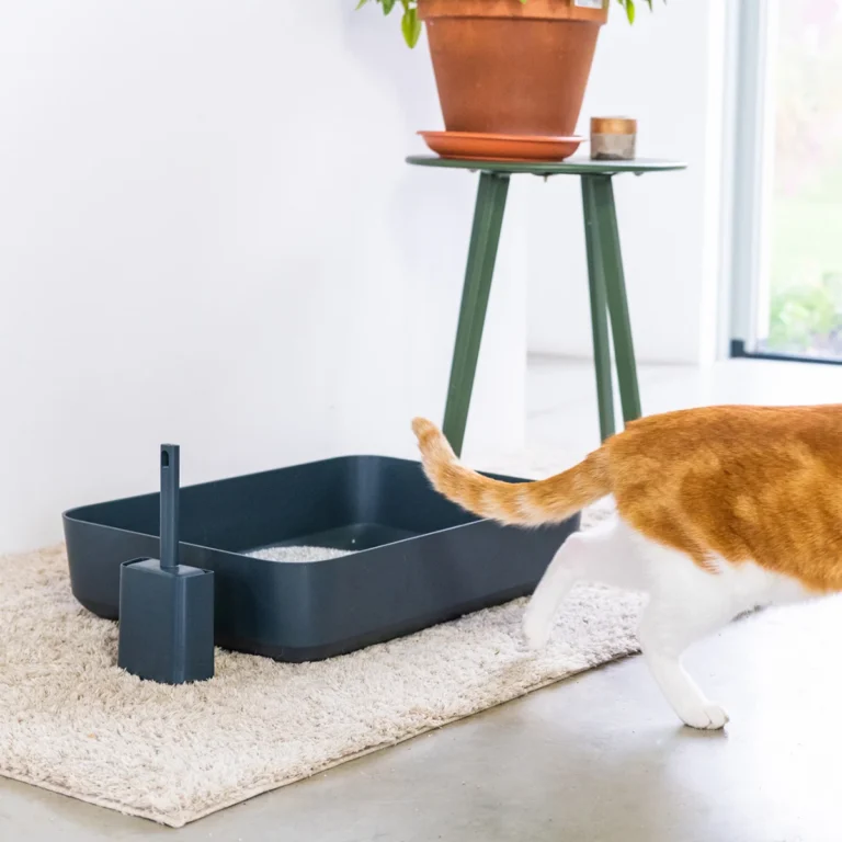katė naudojasi Hoopo POH litter box grey kačių tualetu