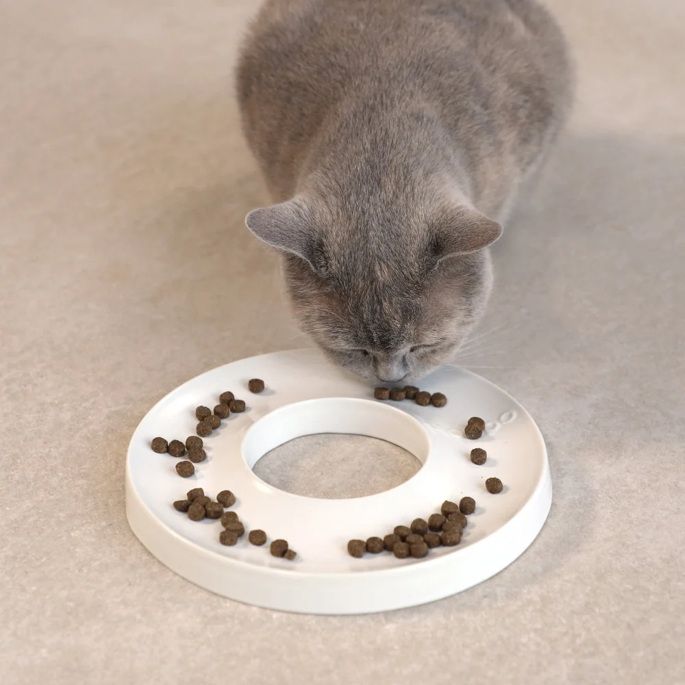 per greitas augintinių valgymas