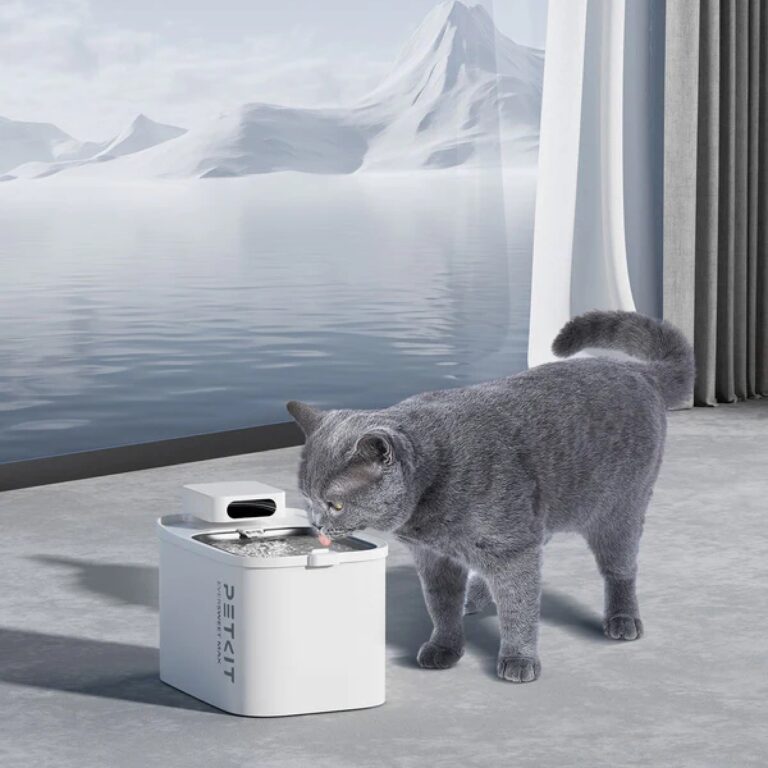 Vandens fontanėlis Petkit Eversweet Max