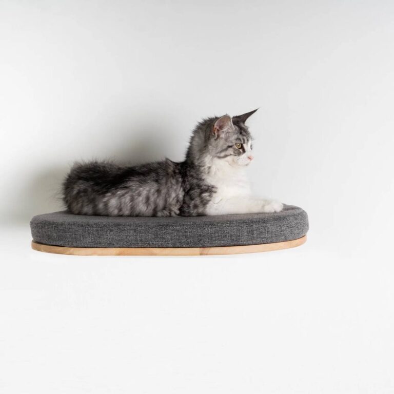 Sieninis kačių guolis | RHR Pets Cat Wall Bed Grey