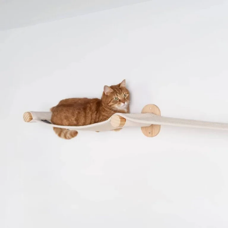 laipiojimo tiltelis katėms rhr pets bridge beige