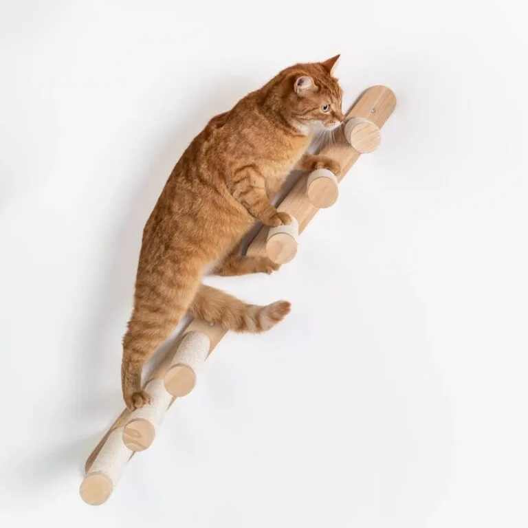 Laipiojimo sistema katėms | sieninės kopėčios katei RHR Pets