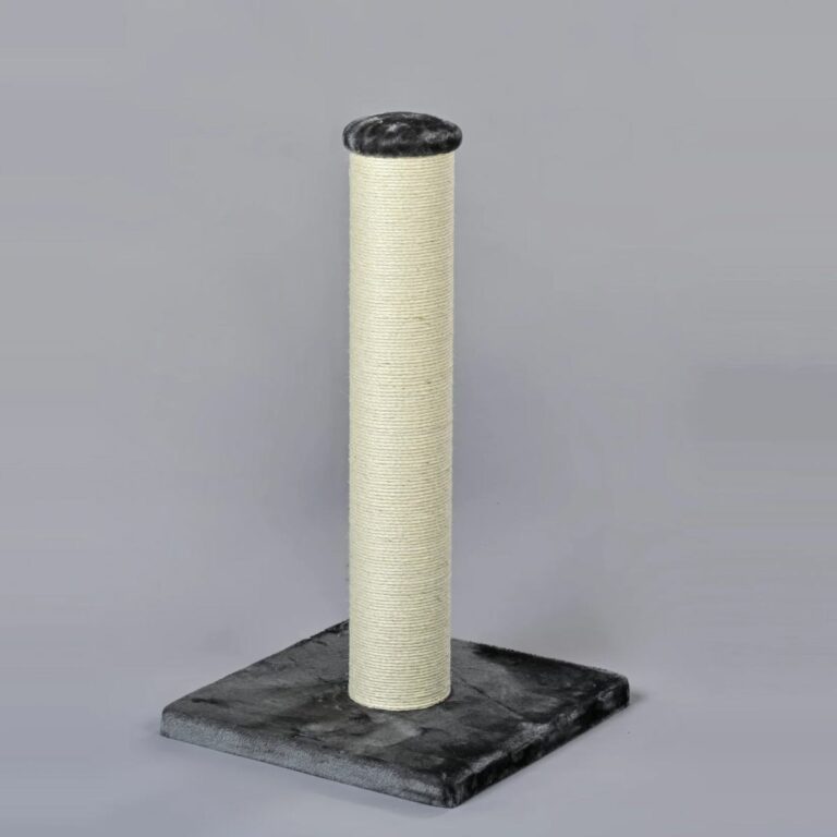 Kačių draskyklė | RHR Pets Ragdoll Blackline