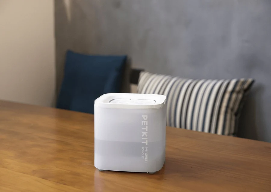 stresas ir vandens vartojimas katėms