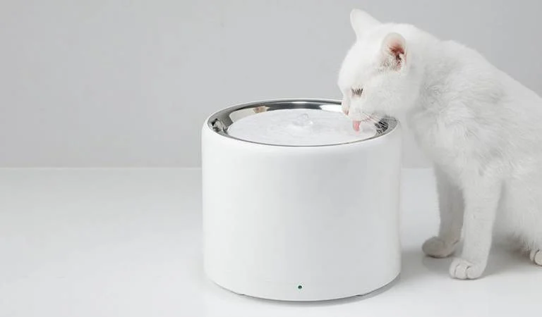 augintinio vandens suvartojimo sekimas namuose