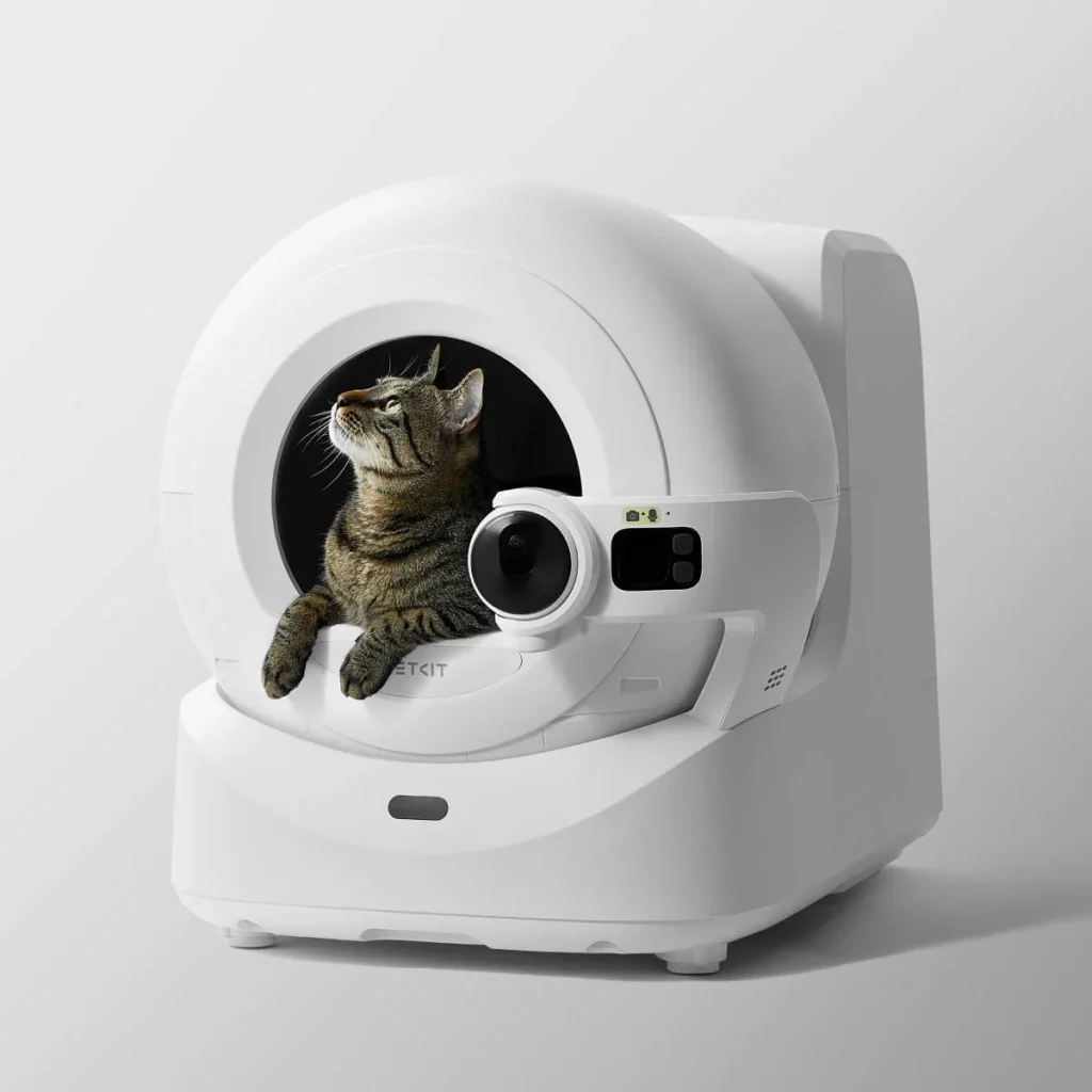 automatinis kačių tualetas modernus uždaras kraiko dėžės pasirinkimo gidas