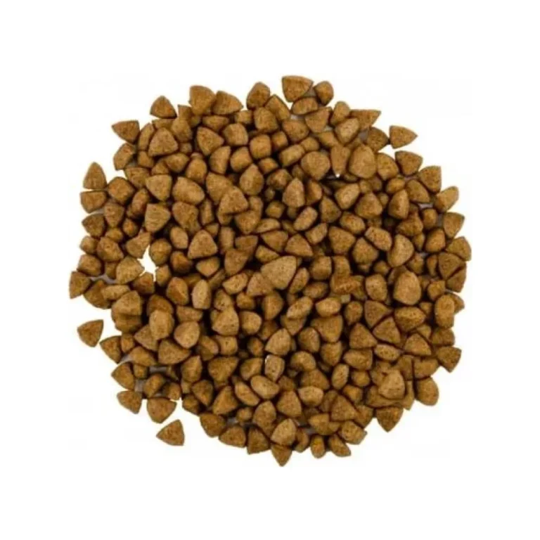Family Cat suaugusioms katėms su vištiena, 1 kg
