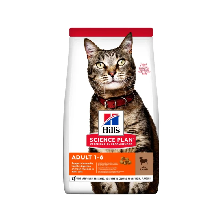 Hill's Science Plan Adult Lamb, 10 kg