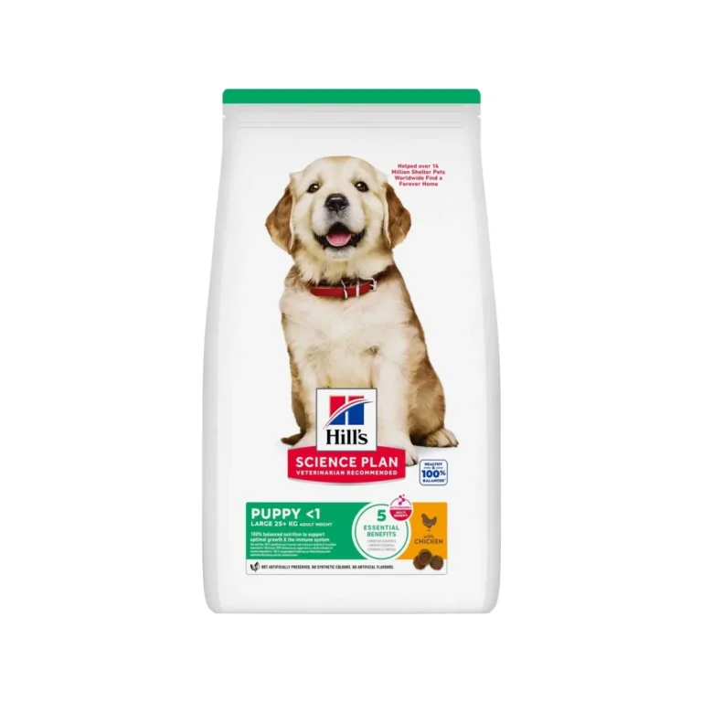 Hill's Science Plan Puppy Large Breed Chicken, 6 kg