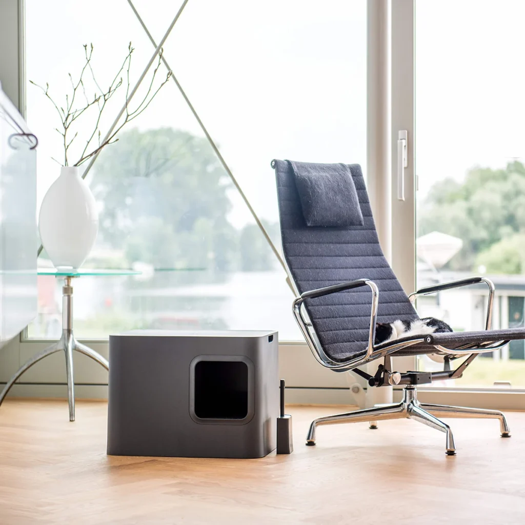 moderna uzdara kaciu tualetas hoopo dome dizainas minimalistinis interjeras katei patogus kraiko dezute
