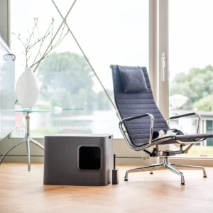 moderna uzdara kaciu tualetas hoopo dome dizainas minimalistinis interjeras katei patogus kraiko dezute