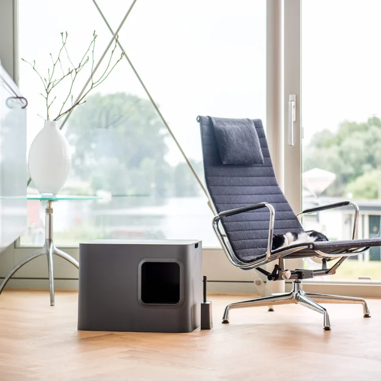 moderna uzdara kaciu tualetas hoopo dome dizainas minimalistinis interjeras katei patogus kraiko dezute