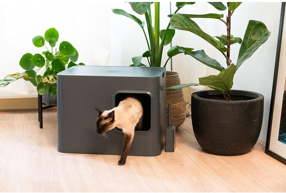 tualeto-pritaikymas-vyresnei-katei