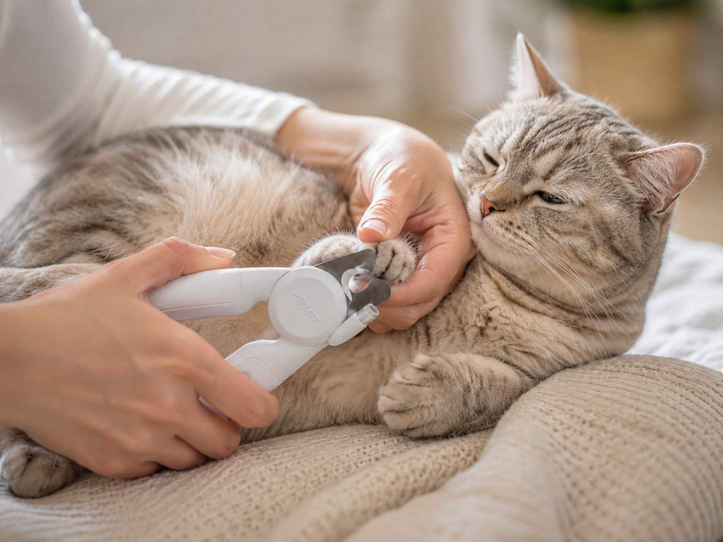 Katės nagų kirpimas namuose su PETKIT LED Nail Clipper Pro žirklėmis, kai katė ramiai guli ant minkšto pledo.