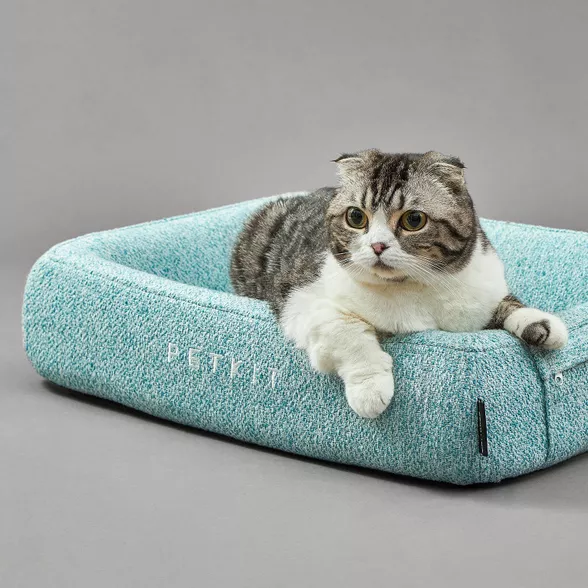 Katė ilsisi Petkit Deep Sleep All Season žalsvame guolyje augintiniams