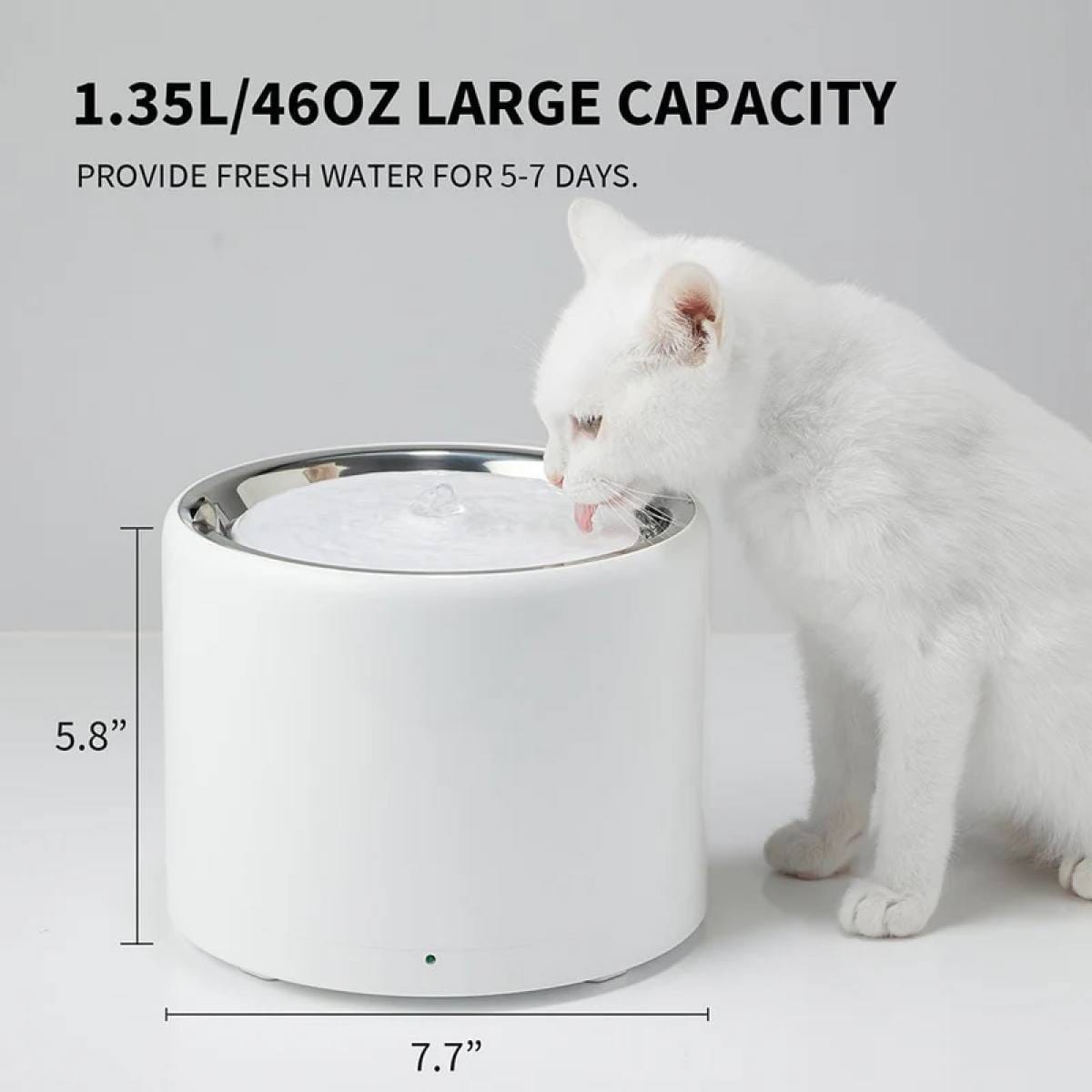 katė geria iš petkit eversweet 3 pro vandens fontano