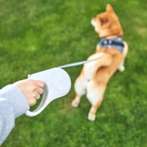 petkit go free p2104 pavadėlis šunims ištraukiamas