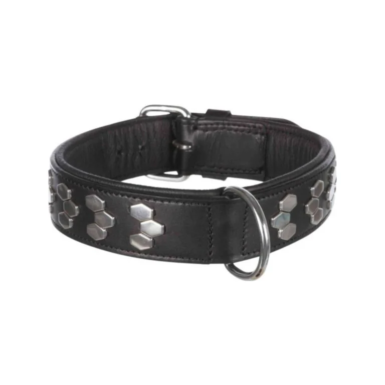 Trixie Active odinis antkaklis su metaline apdaila, M, 38–45 cm / 40 mm, juodas