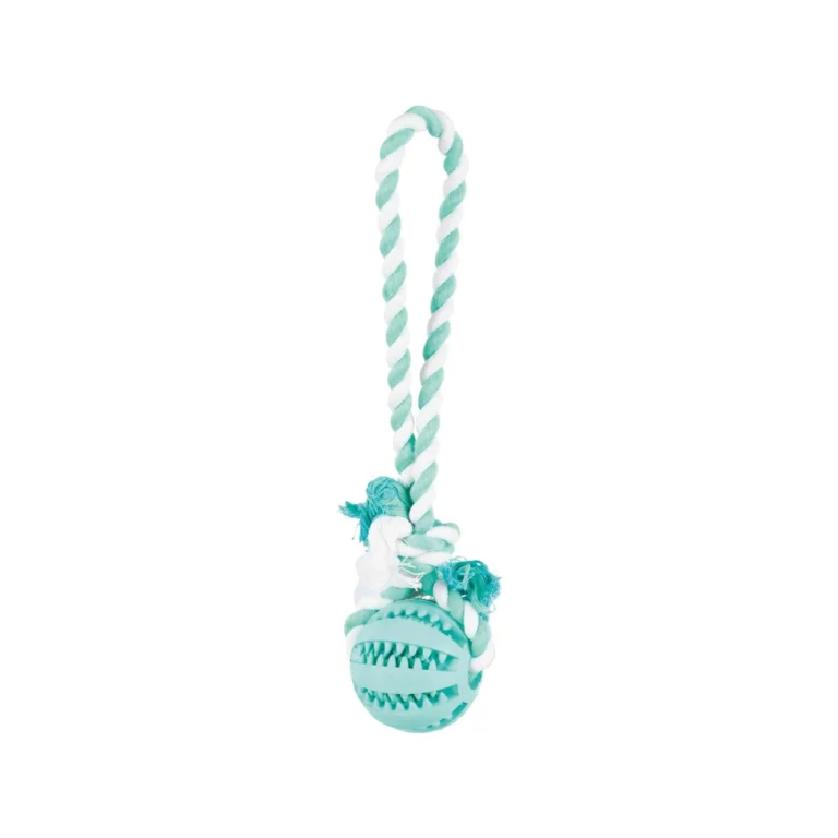 Trixie Denta Fun kamuolys su virve, mėtinis, natūrali guma, ø 7 cm / 24 cm