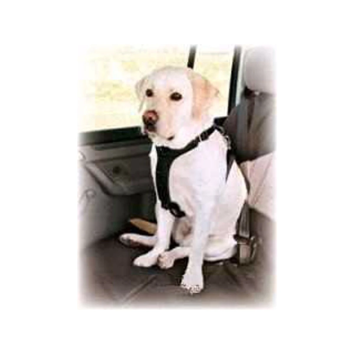 Trixie saugos petnešos šunims automobilyje, M, 50–70 cm / 25 mm, juodos